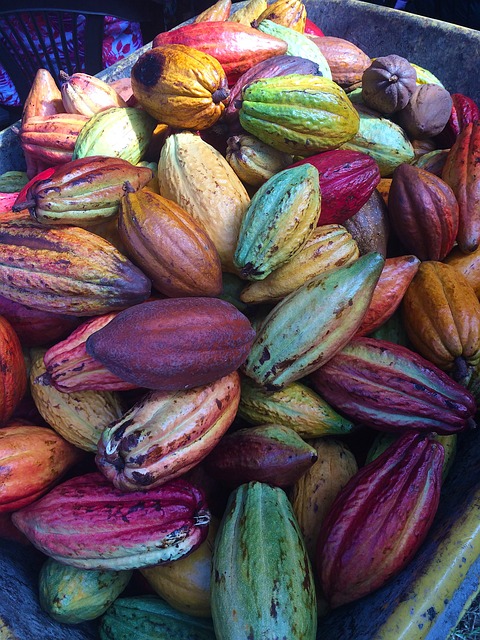 De verfijnde kunst van Belgische pralines ontdekken